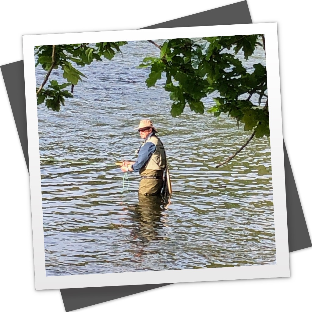 On the fly